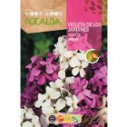 Hölgyestike (Éjszakai viola) vetőmag