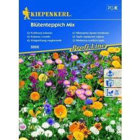 Virágszőnyeg magkeverék