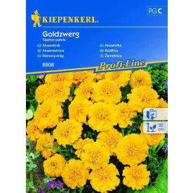 Bársonyvirág vetőmag, sárga