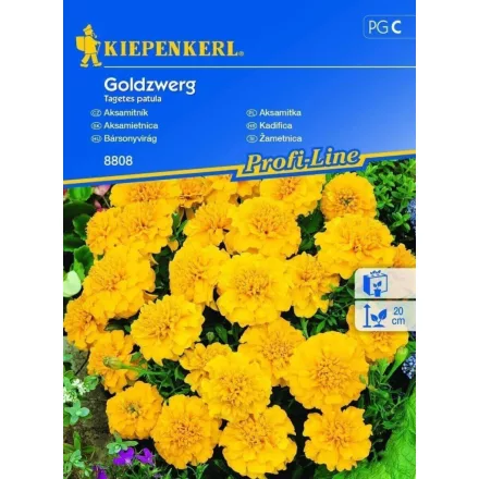 Bársonyvirág vetőmag, sárga