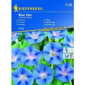 Hajnalka vetőmag, kék