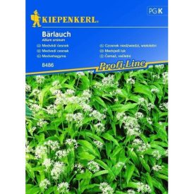 Medvehagyma vetőmag, 35 szem