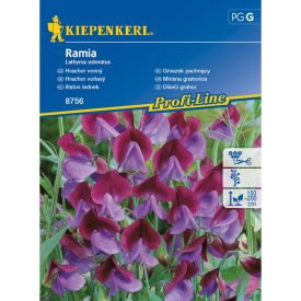 Illatos lednek vetőmag, 25 szem