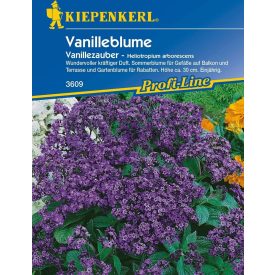 Vaníliavirág vetőmag