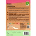 Kaktusz dália vetőmag színkeverék