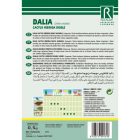 Kaktusz dália vetőmag színkeverék