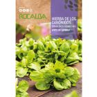 Galambbegy saláta vetőmag