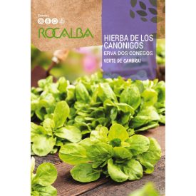 Galambbegy saláta vetőmag