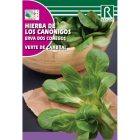 Galambbegy saláta vetőmag