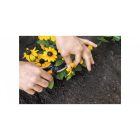 Fiskars Solid SP14 virágolló