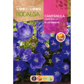 Kárpáti harangvirág vetőmag, 1 g