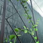 Classic Metal Trellis fém félköríves növényfuttató, 0,3 x 1,2 m, barna