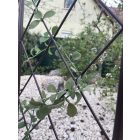 Classic Metal Trellis fém félköríves növényfuttató, 0,3 x 1,2 m, barna