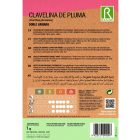 Tollas szegfű vetőmag