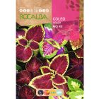 Mozaikvirág (díszcsalán) vetőmag