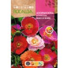 Izlandi mák vetőmag, színkeverék