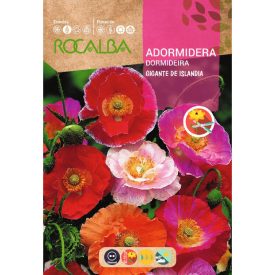 Izlandi mák vetőmag, színkeverék