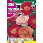 Izlandi mák vetőmag, színkeverék