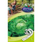 Lento fejessaláta vetőszalag