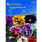 Fodros árvácska vetőmag, színkeverék 