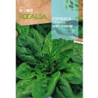 Téli óriás spenót vetőmag, 10 g