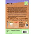 Angelika (angyalgyökér) vetőmag