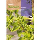 Csombormenta vetőmag