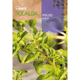 Csombormenta vetőmag