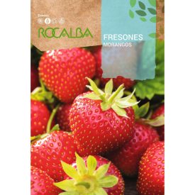 Morangos szamóca vetőmag 