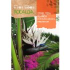 Pompás papagájvirág vetőmag, fehér