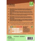 Protea Cynaroides cukorcserje vetőmag