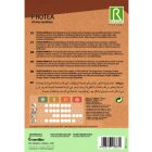 Protea Nerifolia cukorcserje vetőmag