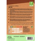 Protea High Gold cukorcserje vetőmag