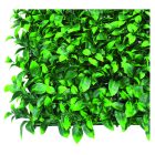 Vertical Lauro zöldfal babérlevelekkel