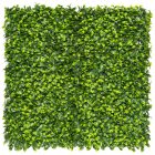 Vertical Lauro zöldfal babérlevelekkel