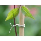 R-Fix kötöző futó növények rögzítéséhez, 50 m, zöld 