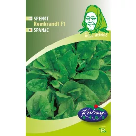 Rembrandt F1 spenót vetőmag