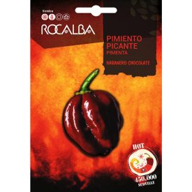 Habanero chili paprika vetőmag, csokoládé