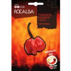 Scotch Bonnet chili paprika vetőmag