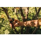 Fiskars Xseries P961 metszőolló (L)