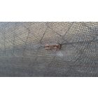 Totaltex szőtt árnyékoló háló, 2 m x 10 m, szürke