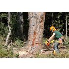 Oleo-Mac GS 651 láncfűrész 