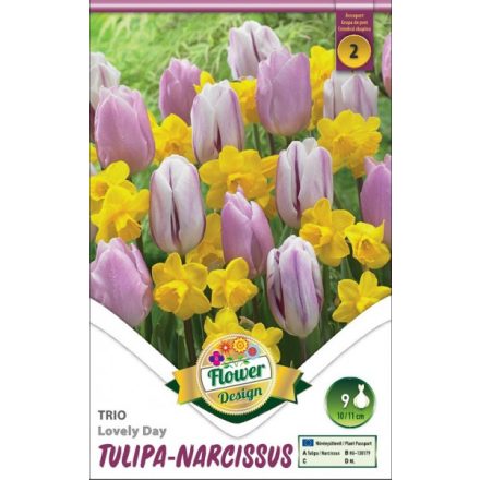 Trio Lovely Day tulipán + nárcisz virághagyma kollekció