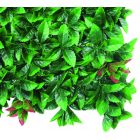 Vertical Red Lauro zöldfal vörös babérlevelekkel