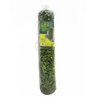 Nort Vertical Forest  zöldfal az erdő növényeivel
