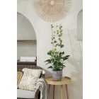 Echelle Bamboo bambusz növénylétra, 90 cm