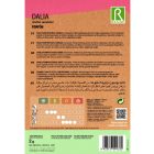 Pompon dália vetőmag, színkeverék