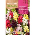 Oroszlánszáj vetőmag, magas, 3 g