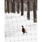 Volier fácánháló, 4 x 250 m, fekete 