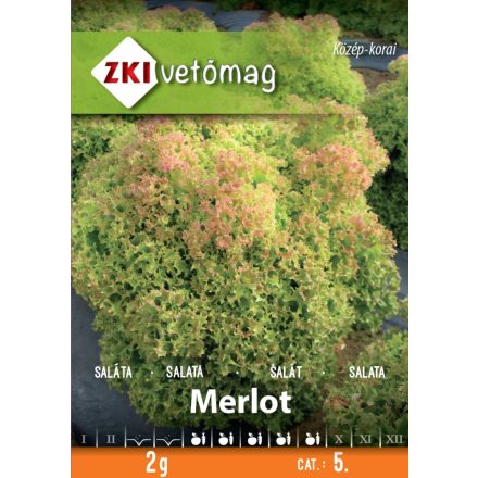 Merlot tépősaláta vetőmag